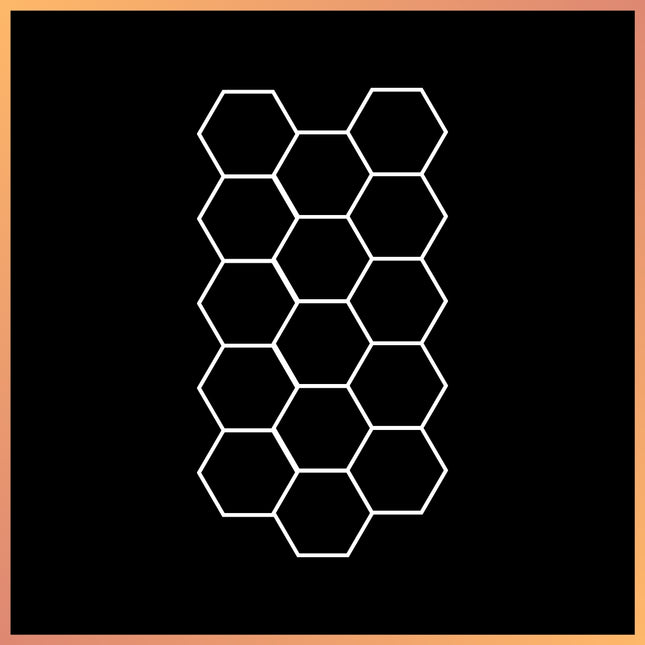 Hexagon 22