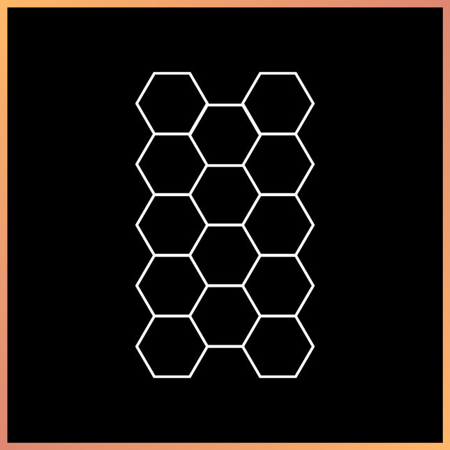 Hexagon 19