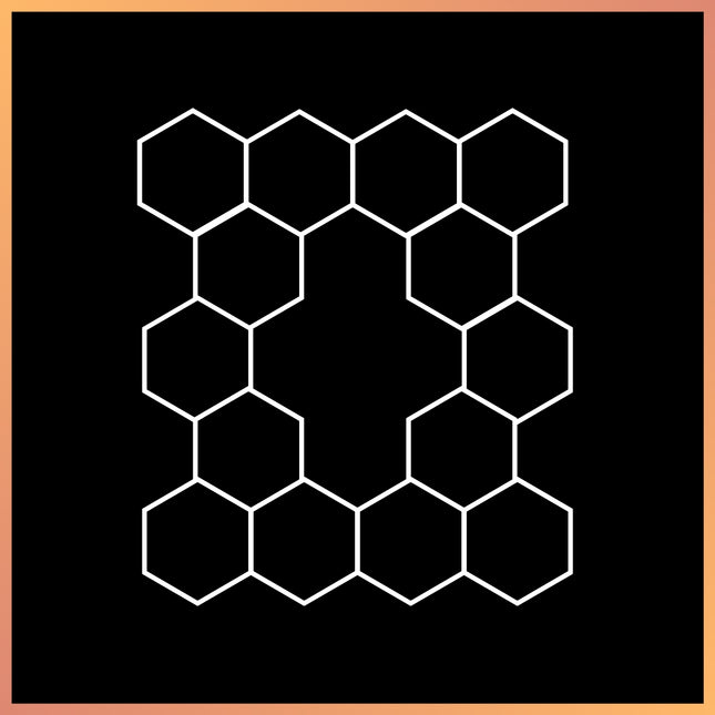 Hexagon 14